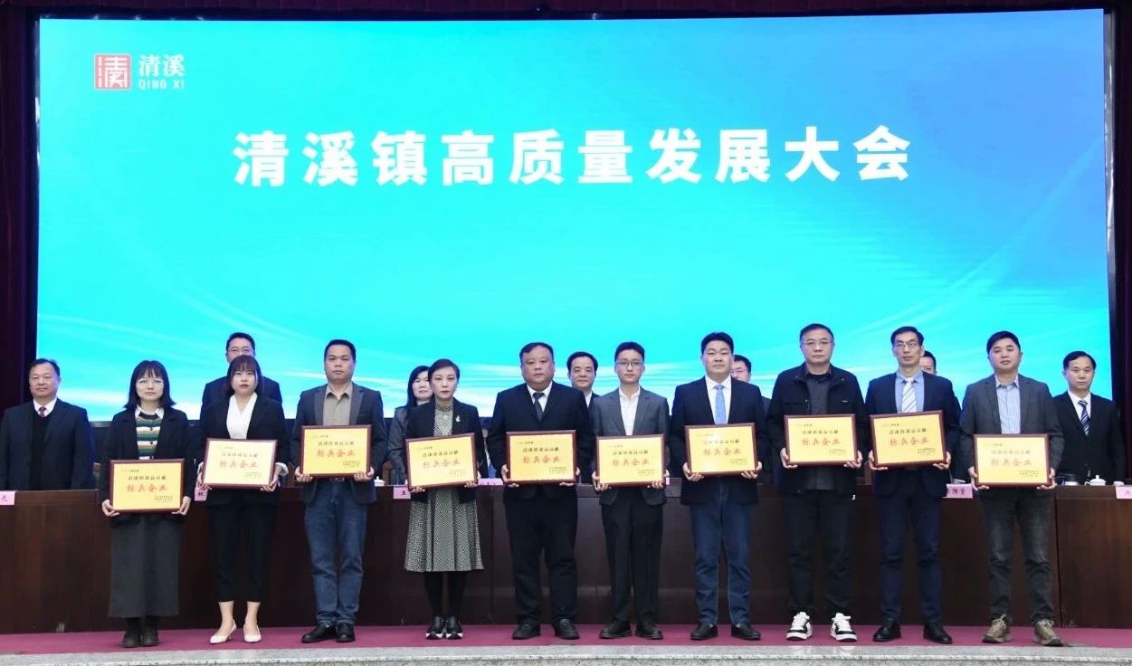 喜讯：乐发500科技荣获2024年度“清溪镇主营业务收入及效益贡献标兵企业”